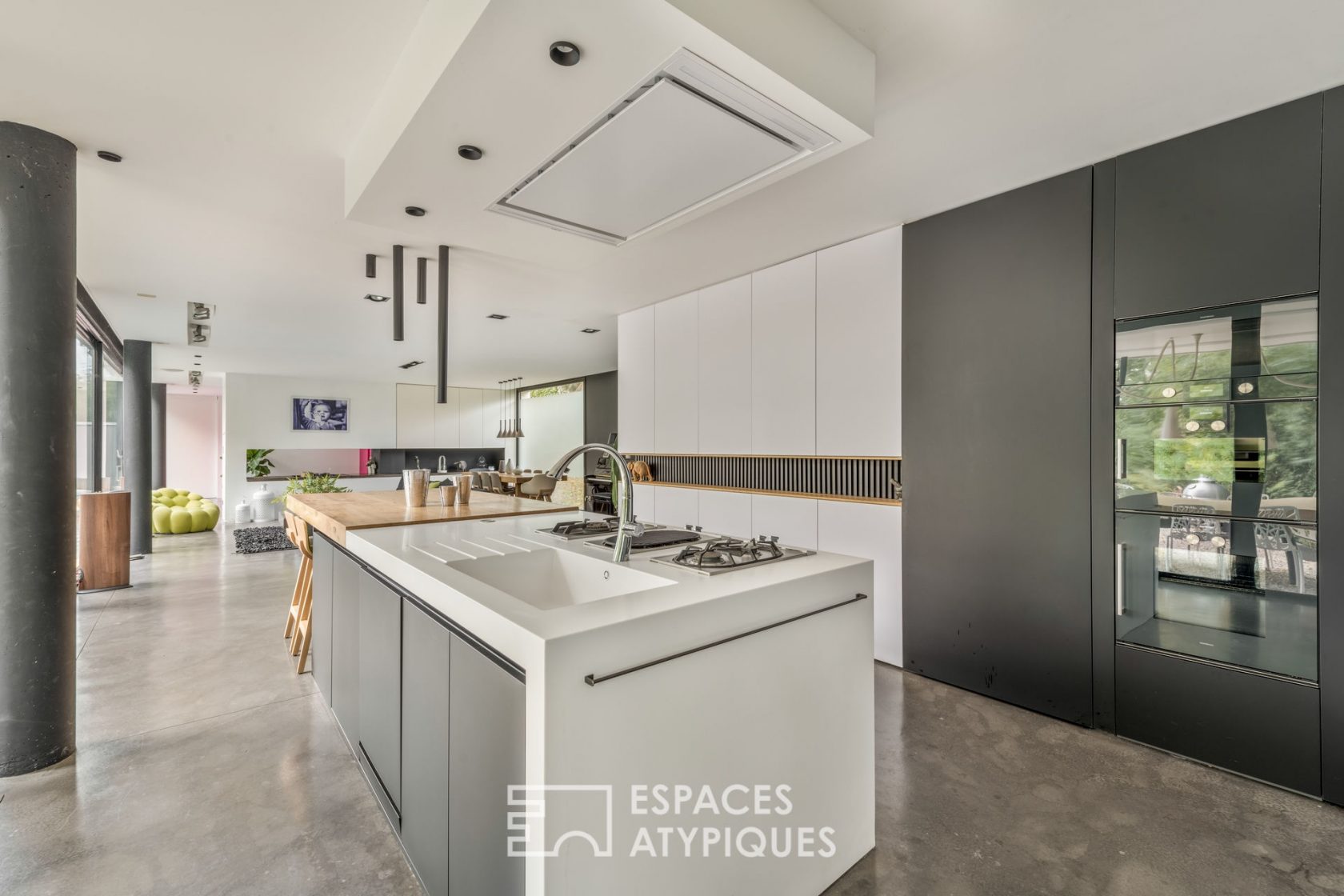 Villa contemporaine avec couloir de nage