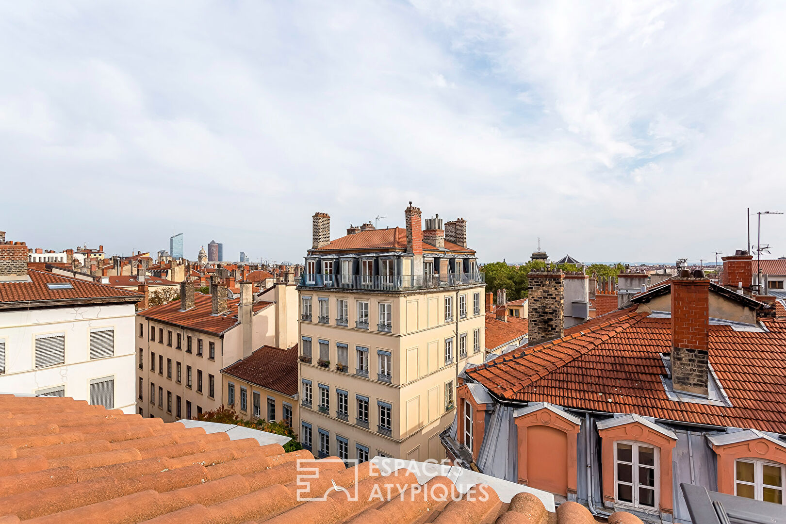 Duplex on the top floor near Place Sathonay