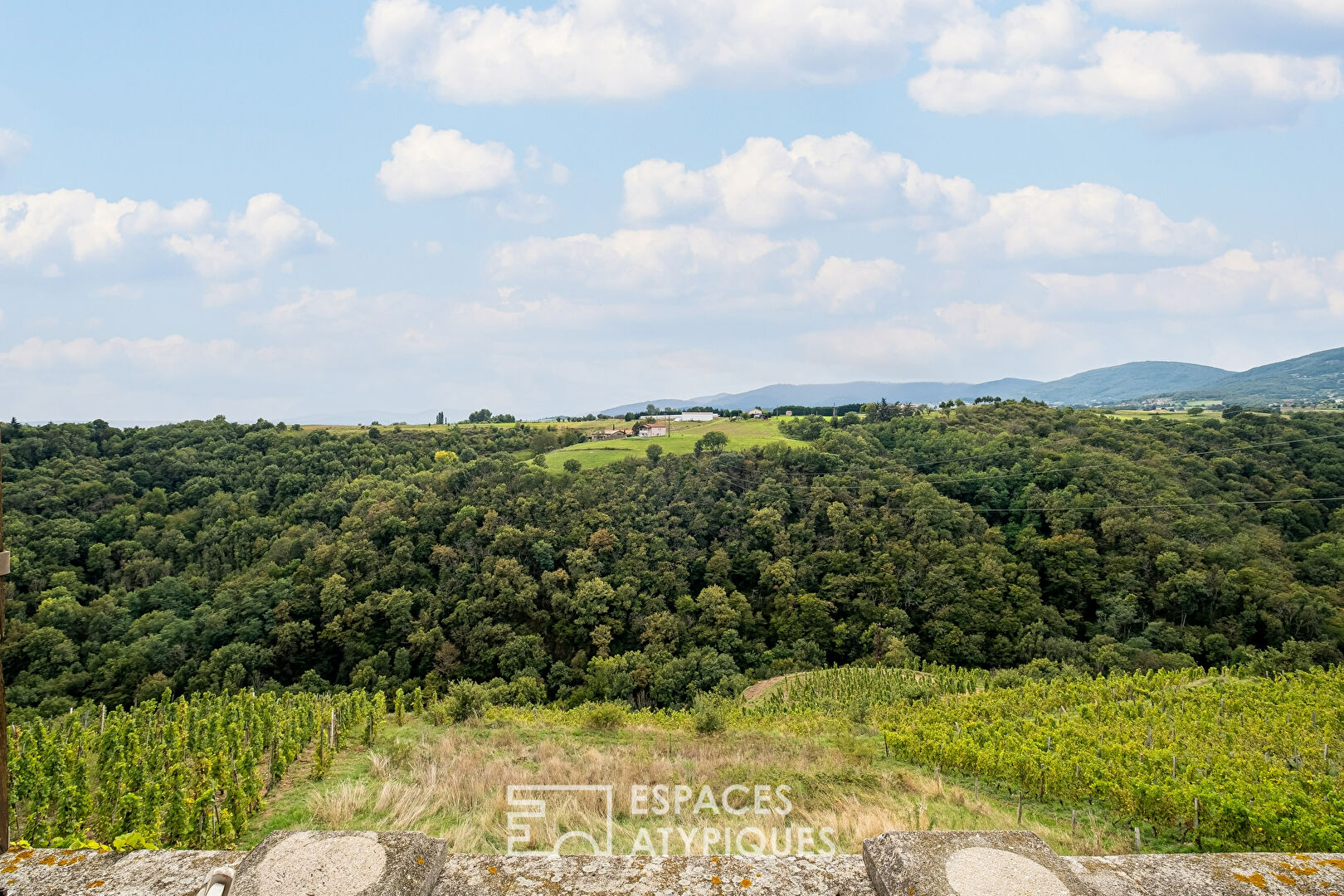 House in the heart of the vineyard