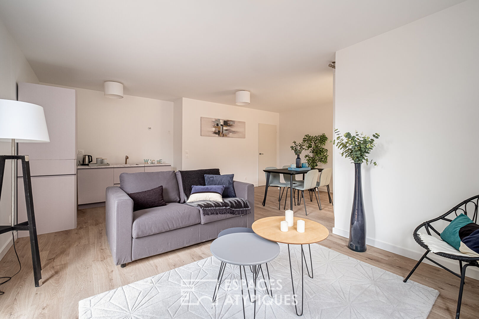 Appartement contemporain avec jardin dans le centre de Craponne