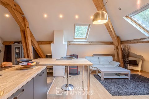 Charming attic apartment in the city center