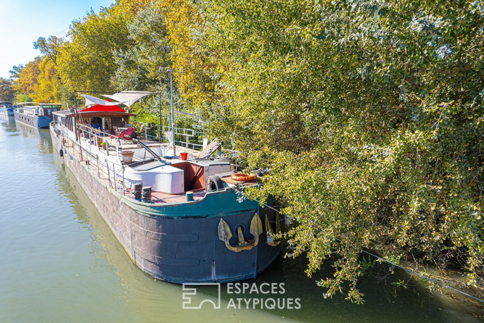 Péniche d'artiste et sa somptueuse vue sur le Palais des Papes