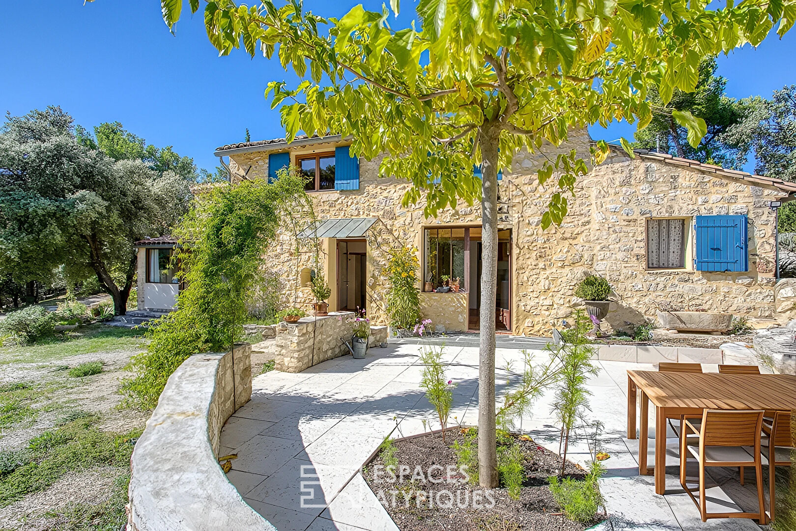 Two stone houses in an olive grove