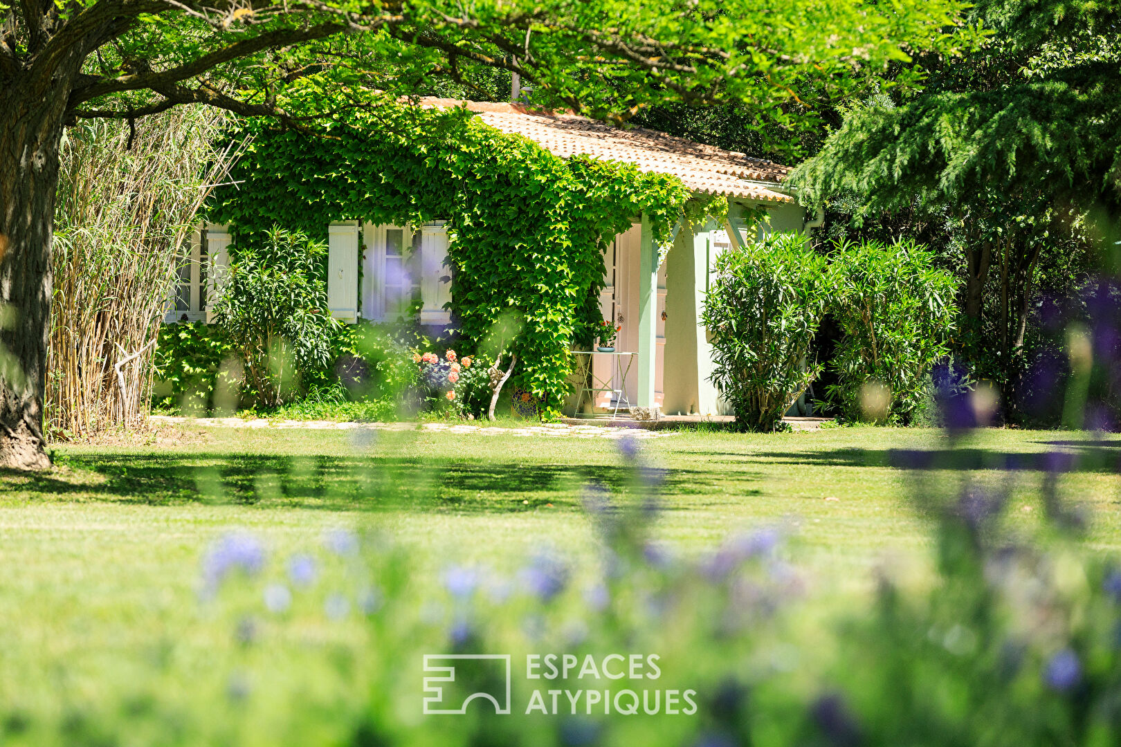 Exceptional property near Avignon, a journey to the heart of Provençal authenticity