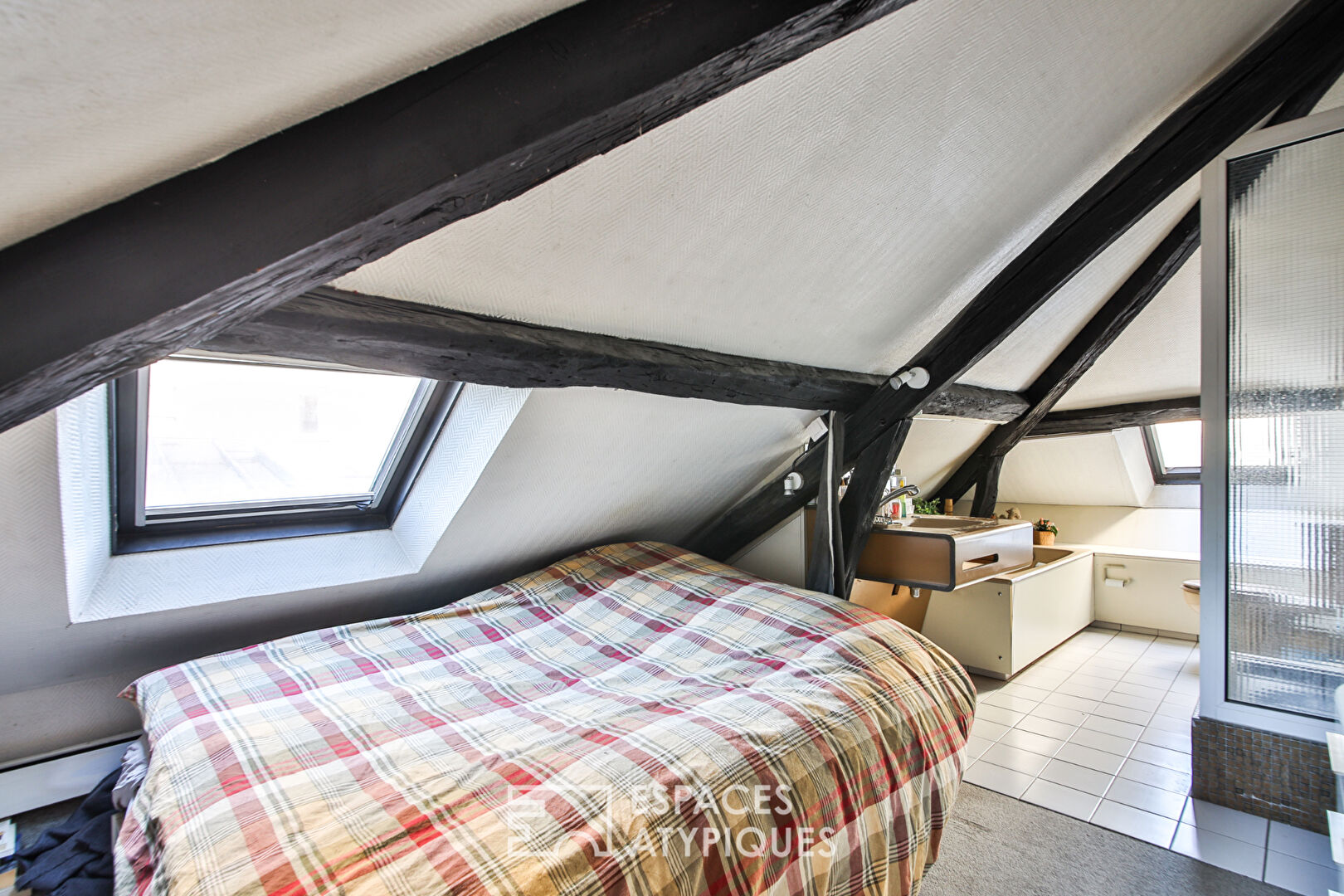 Appartement esprit loft sous les toits avec verrière et cheminée