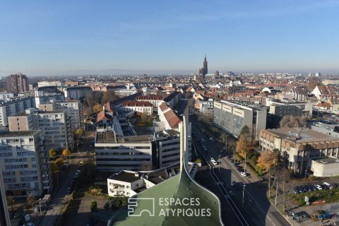 Strasbourg vue d’en haut