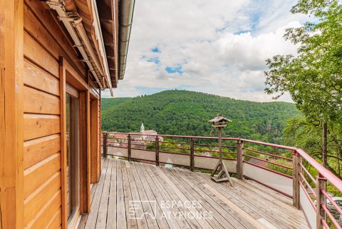 Wooden chalet and gîte with uninterrupted views of the Vosges mountains