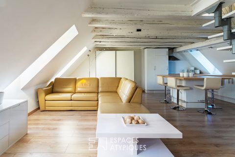 Duplex sous les toits au pied de la Cathédrale