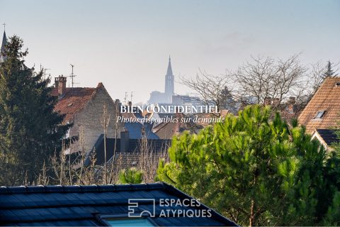 Attique avec sa terrasse avec vue dégagée au coeur de la Robertsau