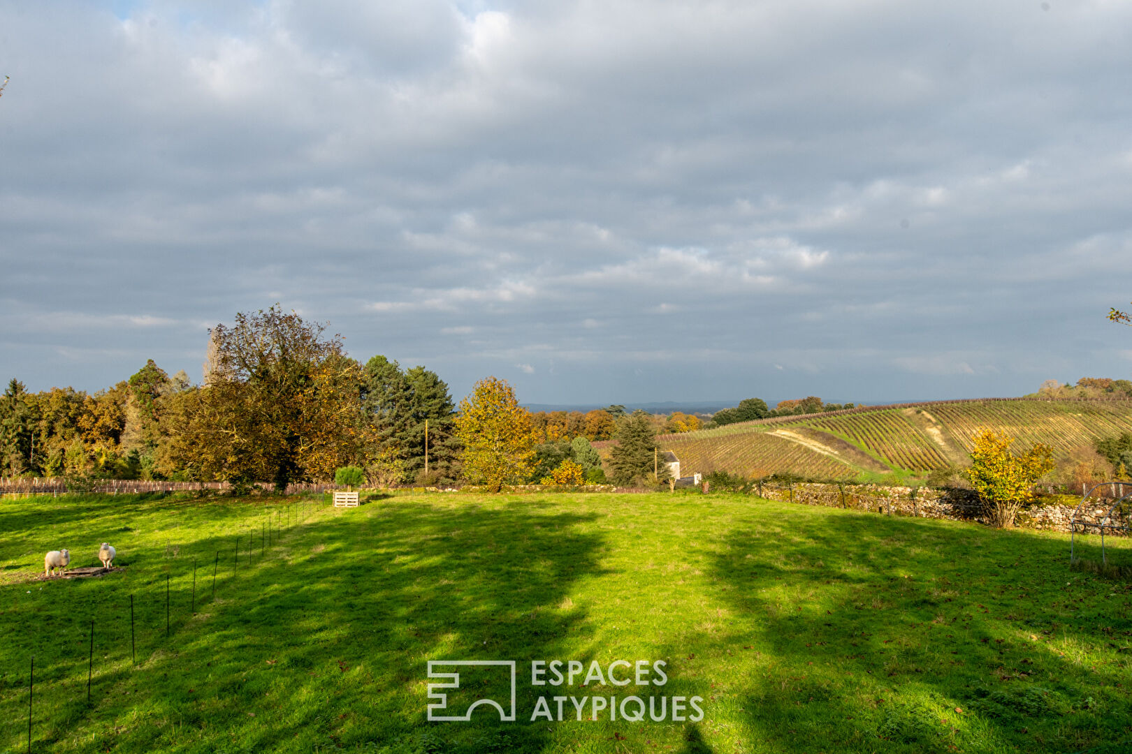 Propriété de charme avec dépendances et piscine sur un hectare