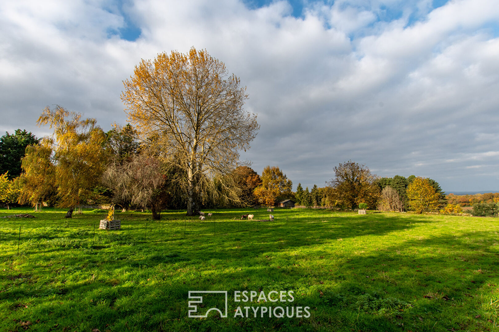 Propriété de charme avec dépendances et piscine sur un hectare