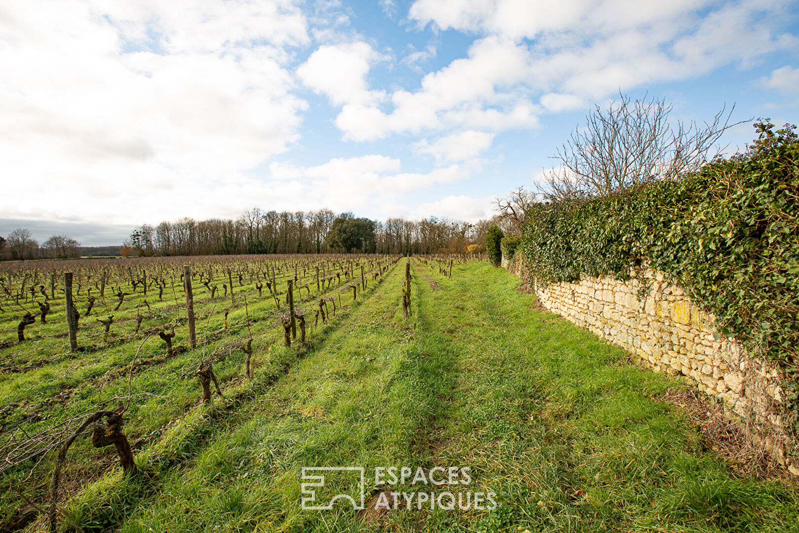 Domaine viticole avec charme et potentiel au coeur de la nature