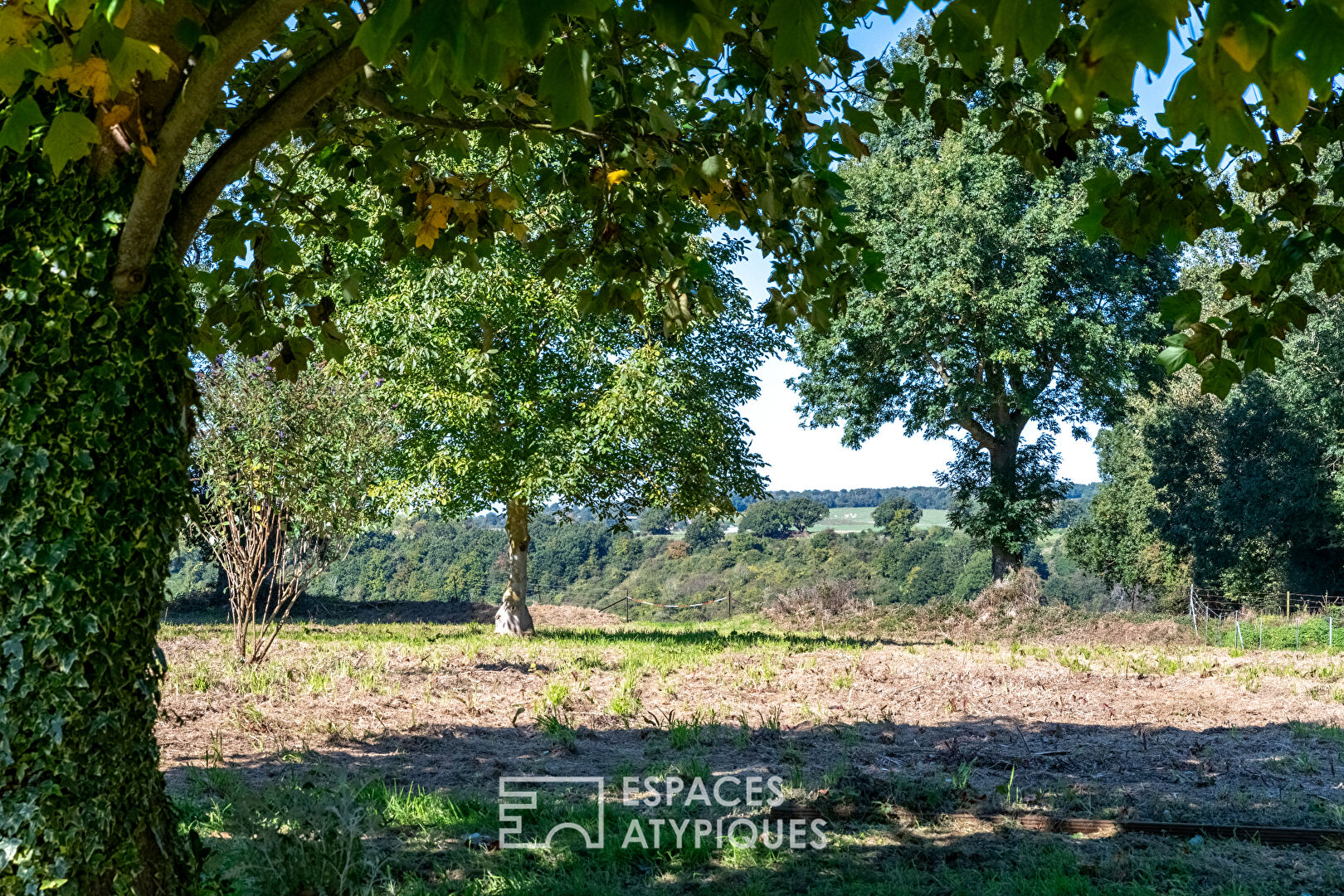 Renovated cottage on the coast with building plot and grassland