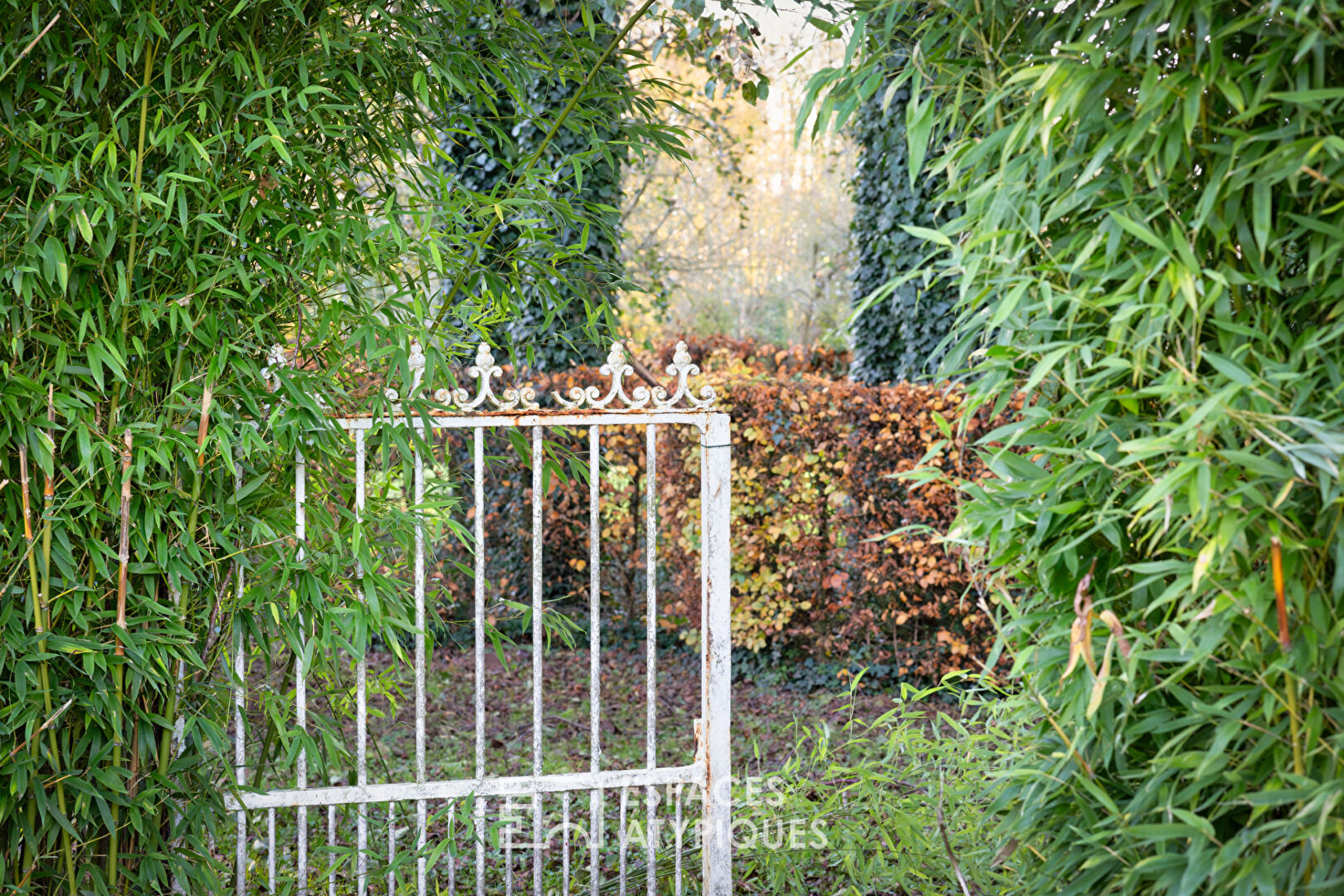 Maison de 1967 rénovée avec deux dépendances dans un parc paysagé