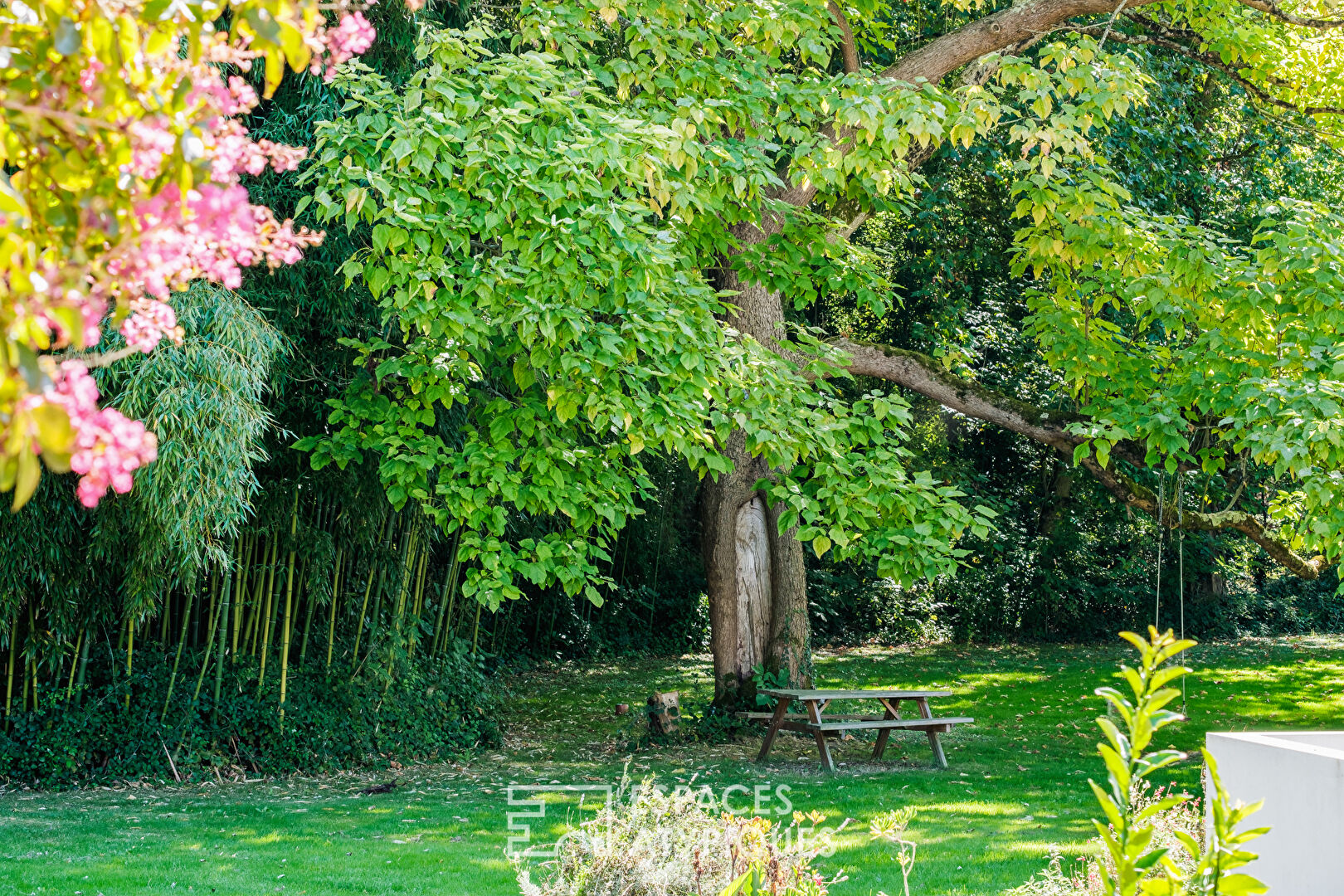 Family Charentaise in its green setting and its outbuilding