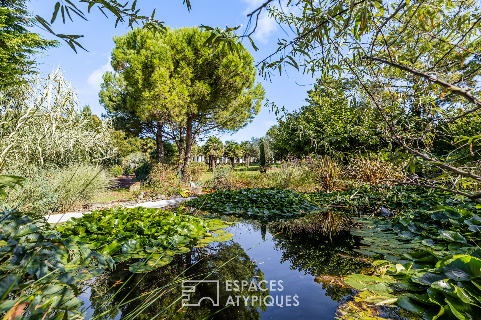 Villa d’architecte inspirante et sa palmeraie