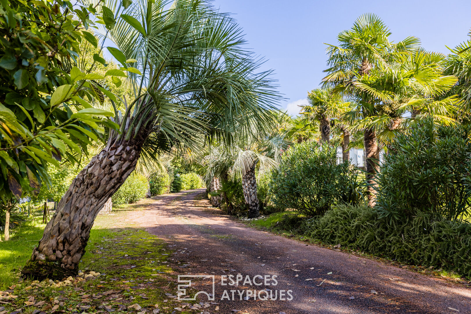 Inspiring architect’s villa and its palm grove