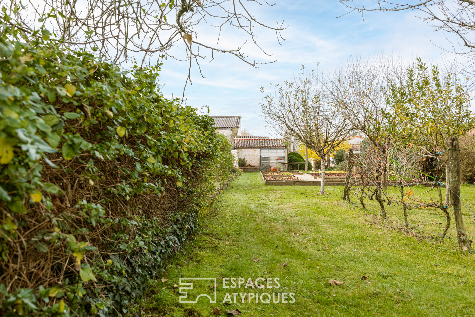 Charente family between land and sea