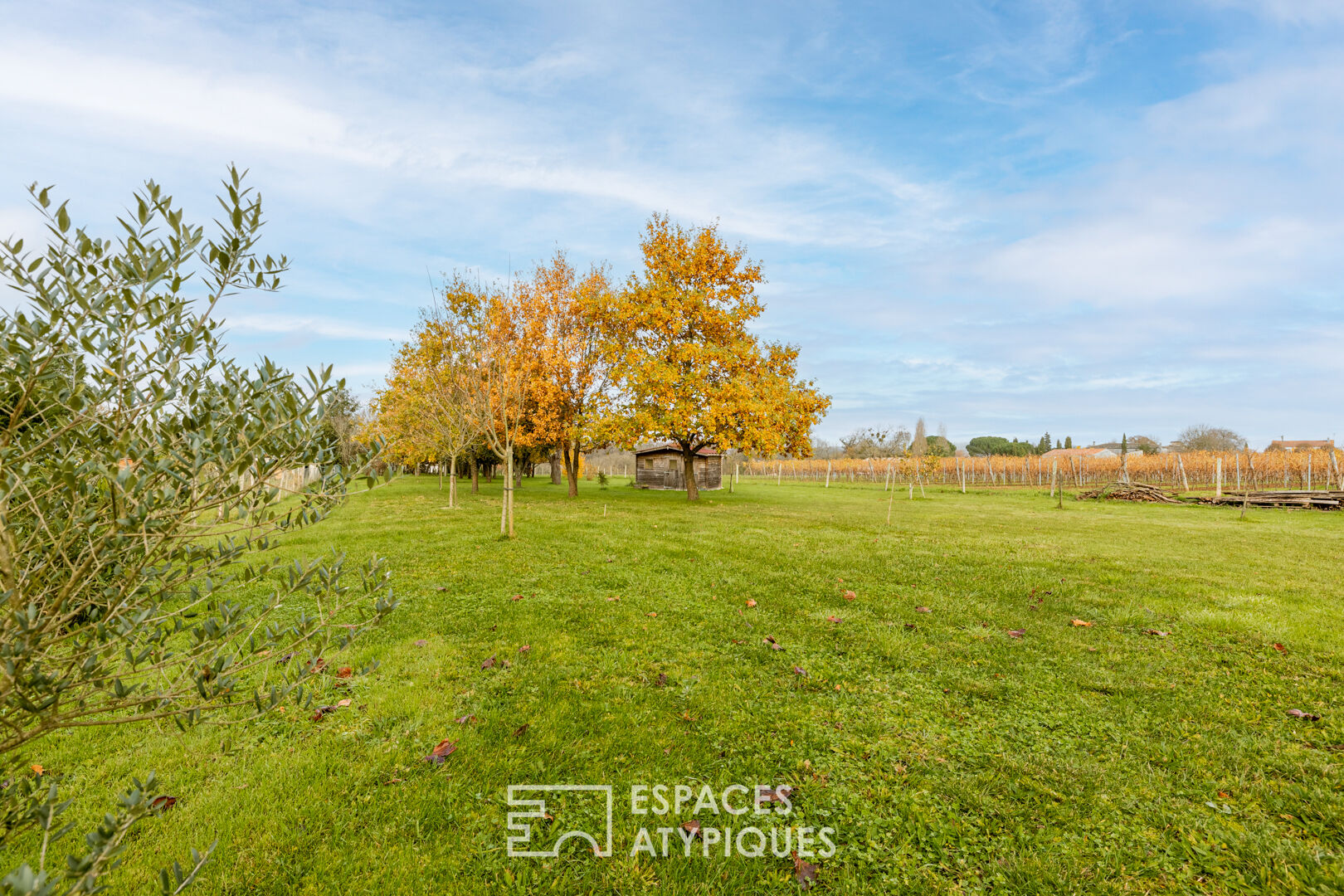 Charente family between land and sea