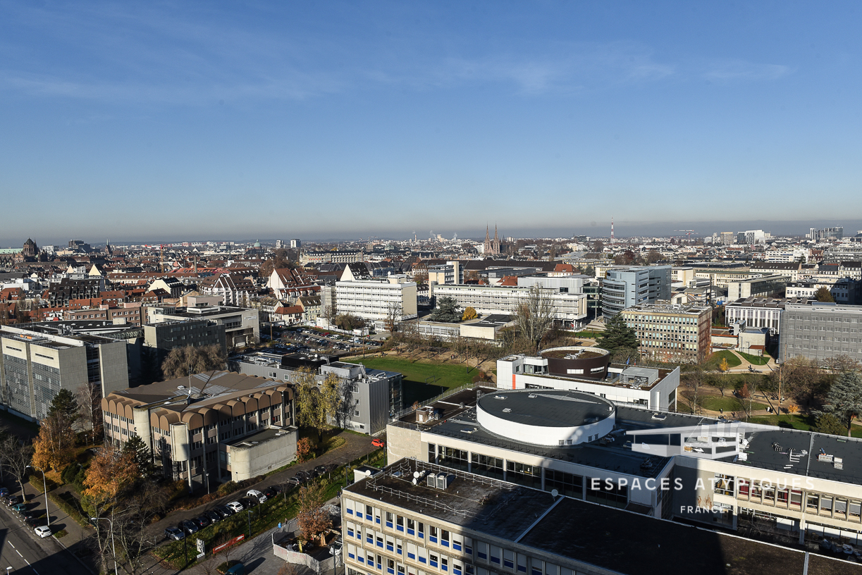 Strasbourg seen from above