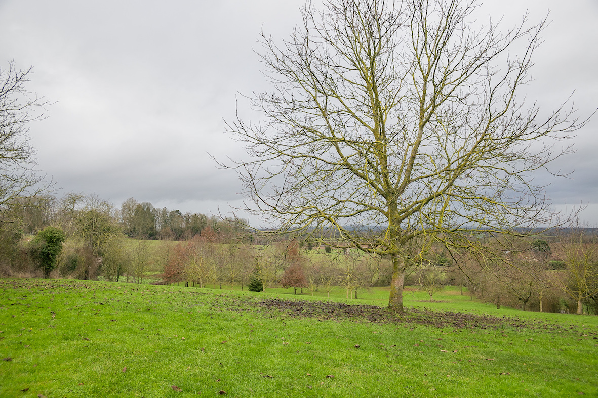 Ancien corps de ferme restructuré en habitation et gîte