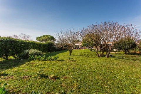 Villa Familiale et son jardin verdoyant
