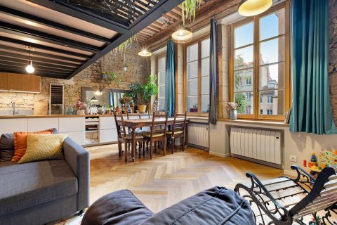 Character apartment completely renovated near Place Sathonay