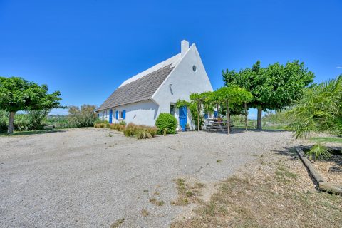 Maison de Gardian contemporaine en petite Camargue