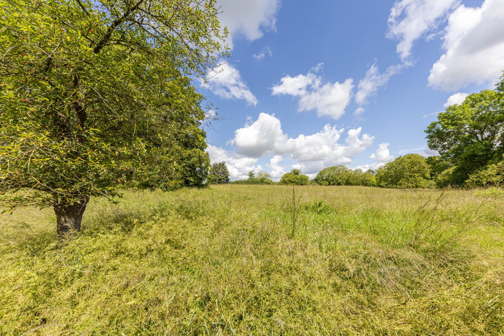 Propriété à la vue panoramique