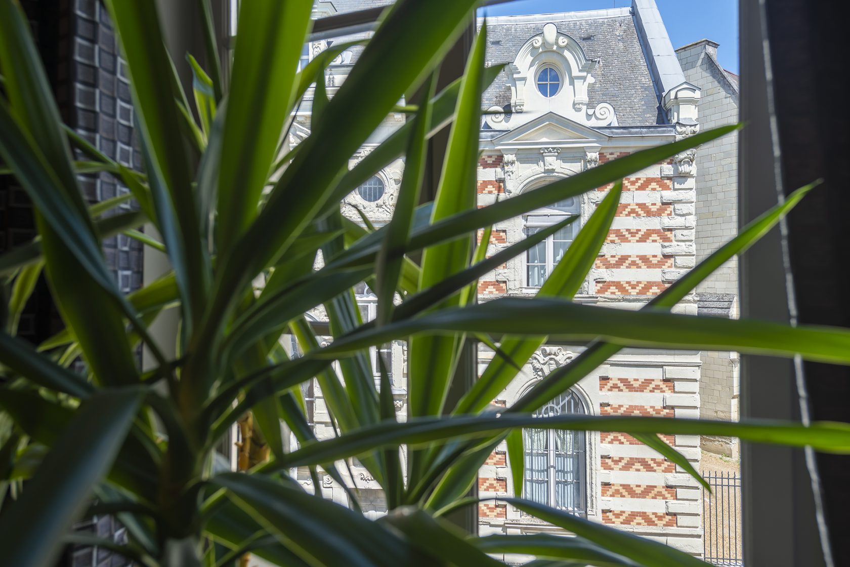 Charmante maison rénovée en coeur de ville de Saumur