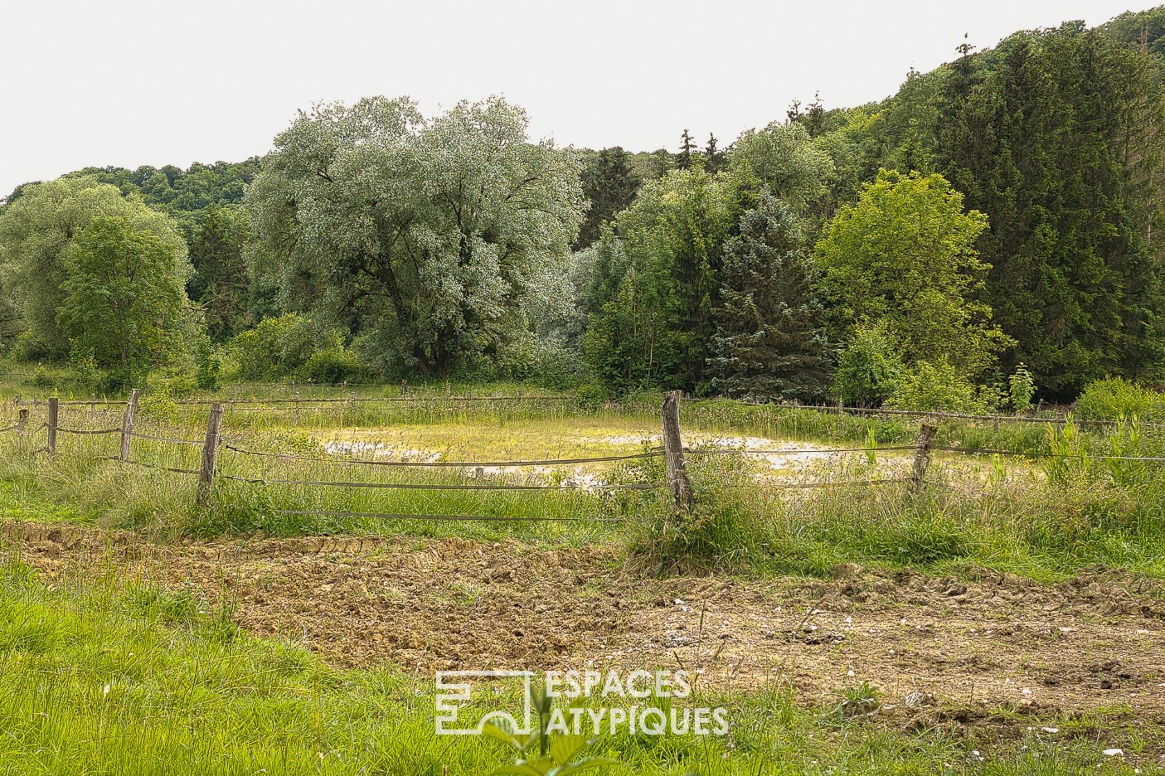 Equestrian estate with pond