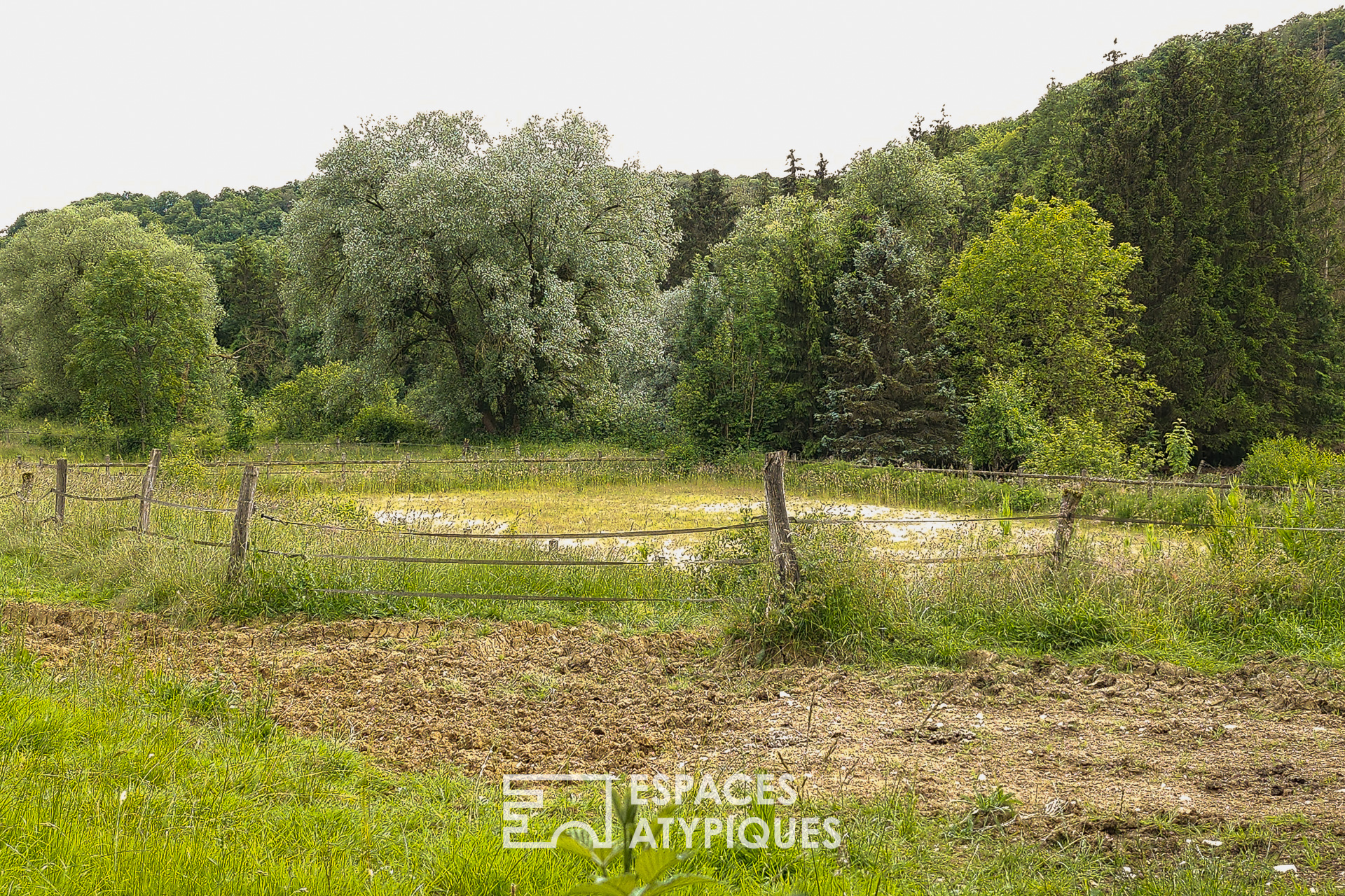 Domaine équestre et son étang