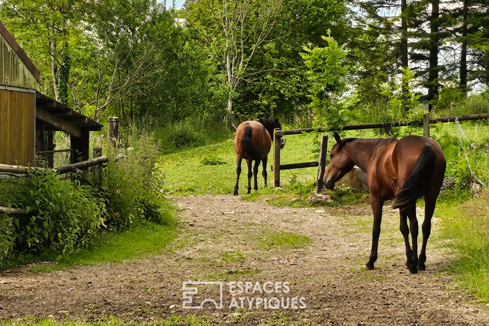 Equestrian estate with pond