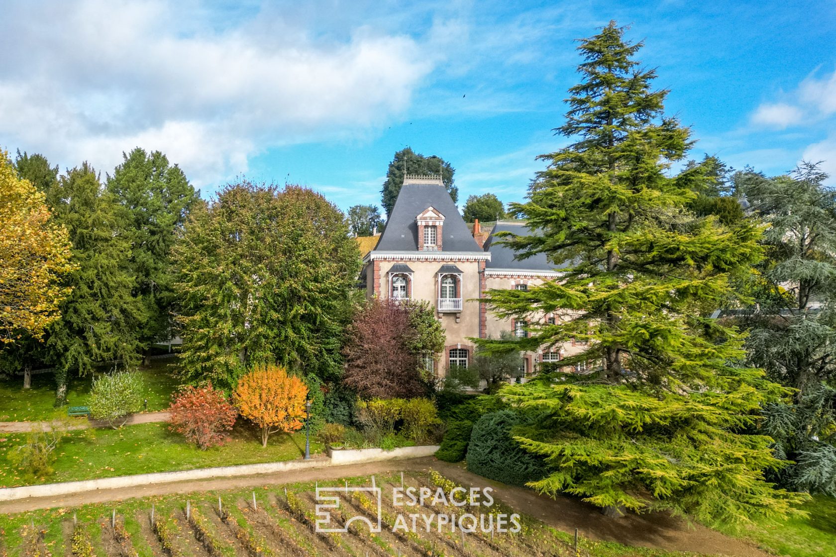 Magnificent 19th century property and its vineyard