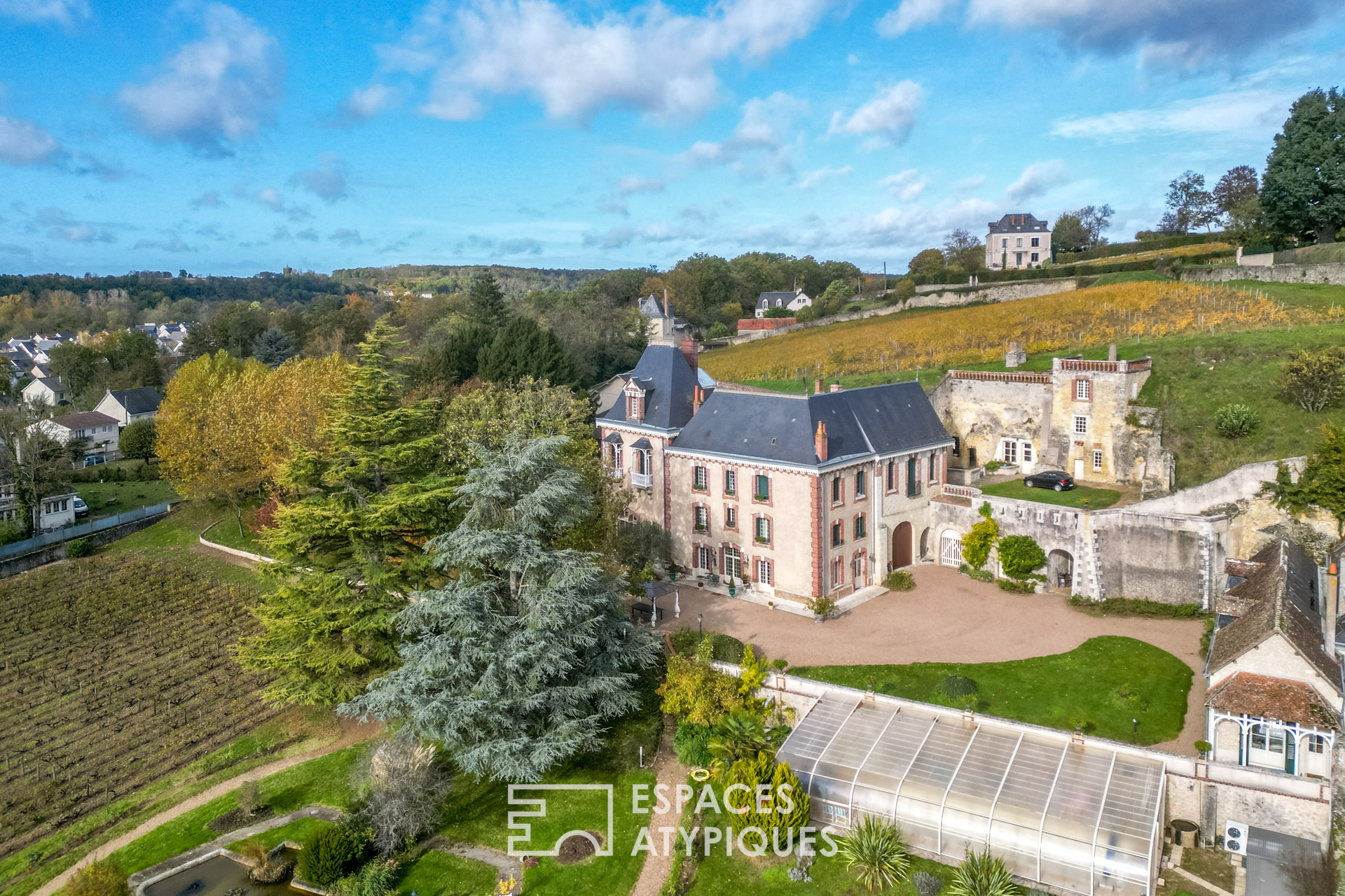 Magnificent 19th century property and its vineyard