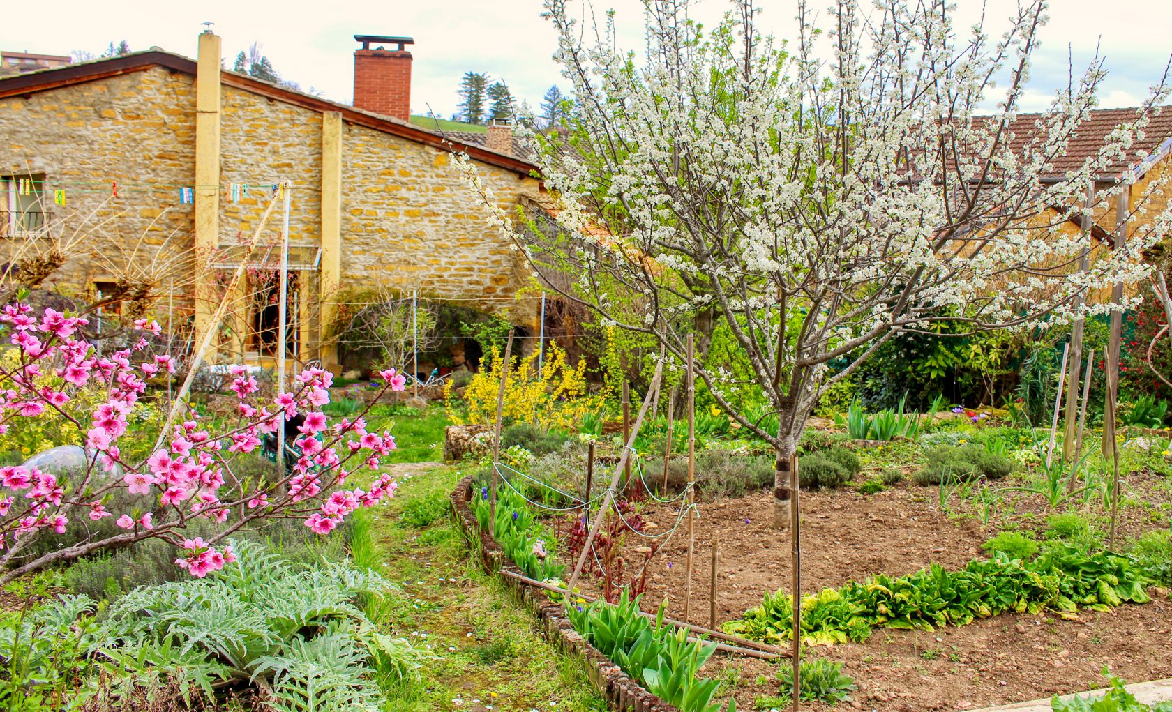 16th Century Village House in Golden Stones with Garden