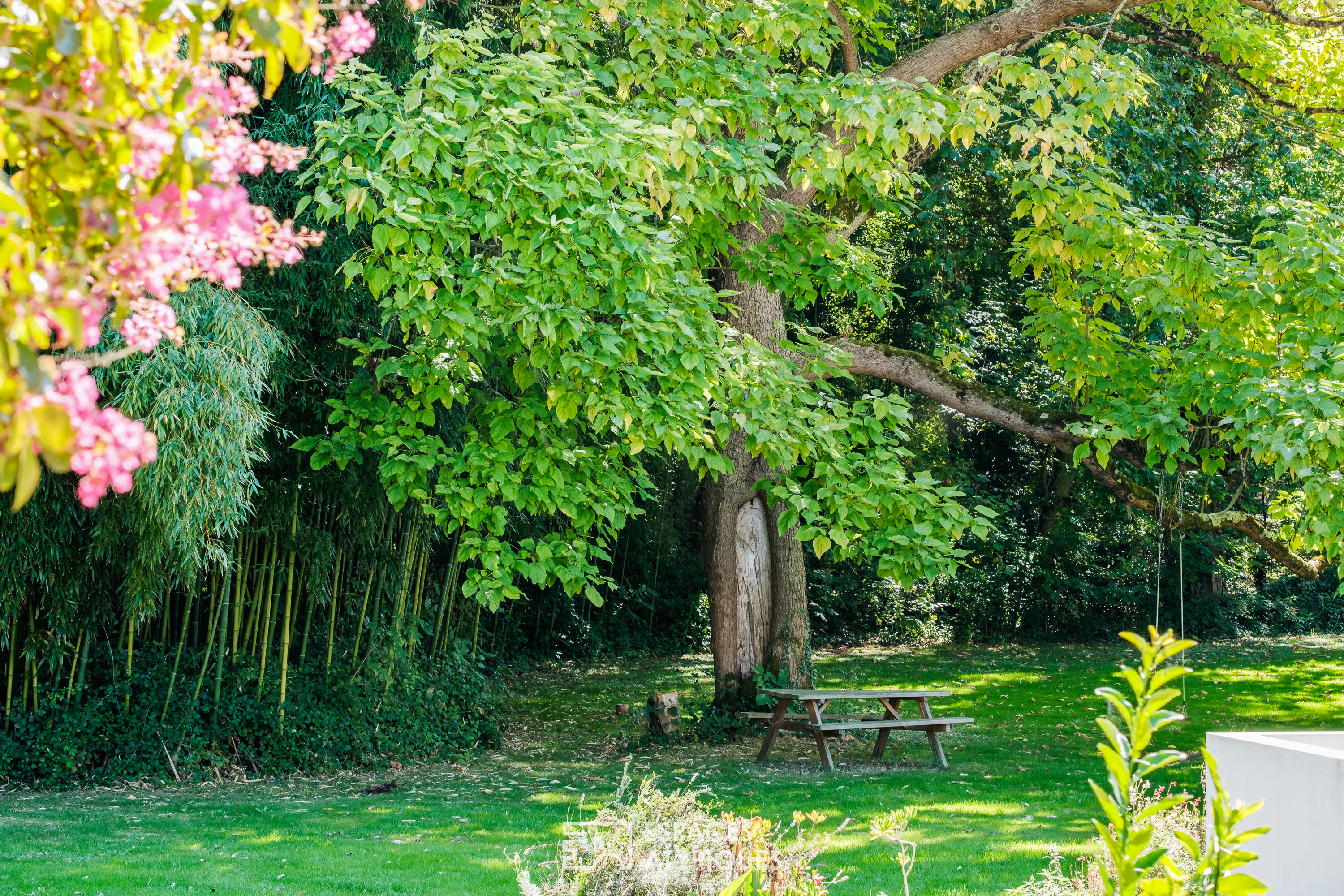 Family Charentaise in its green setting and its outbuilding