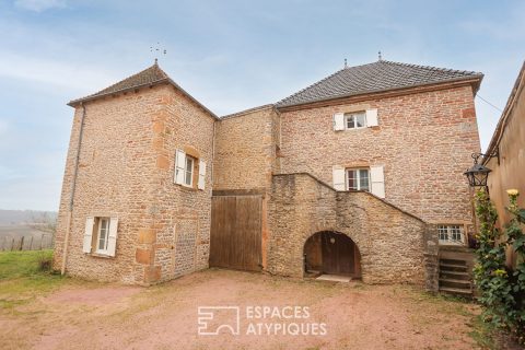 Set of two character houses in a wine village