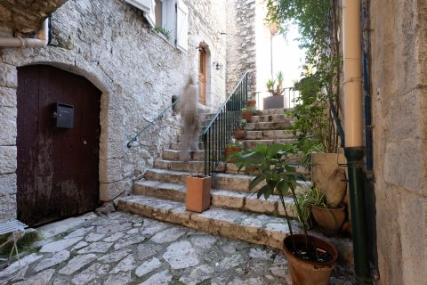 Authentique maison de village entièrement réhabilitée à La Colle sur Loup