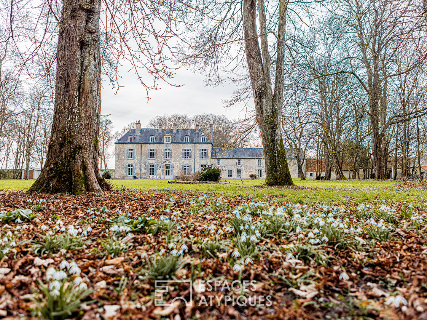 Château du XVIIème au coeur d’un parc verdoyant