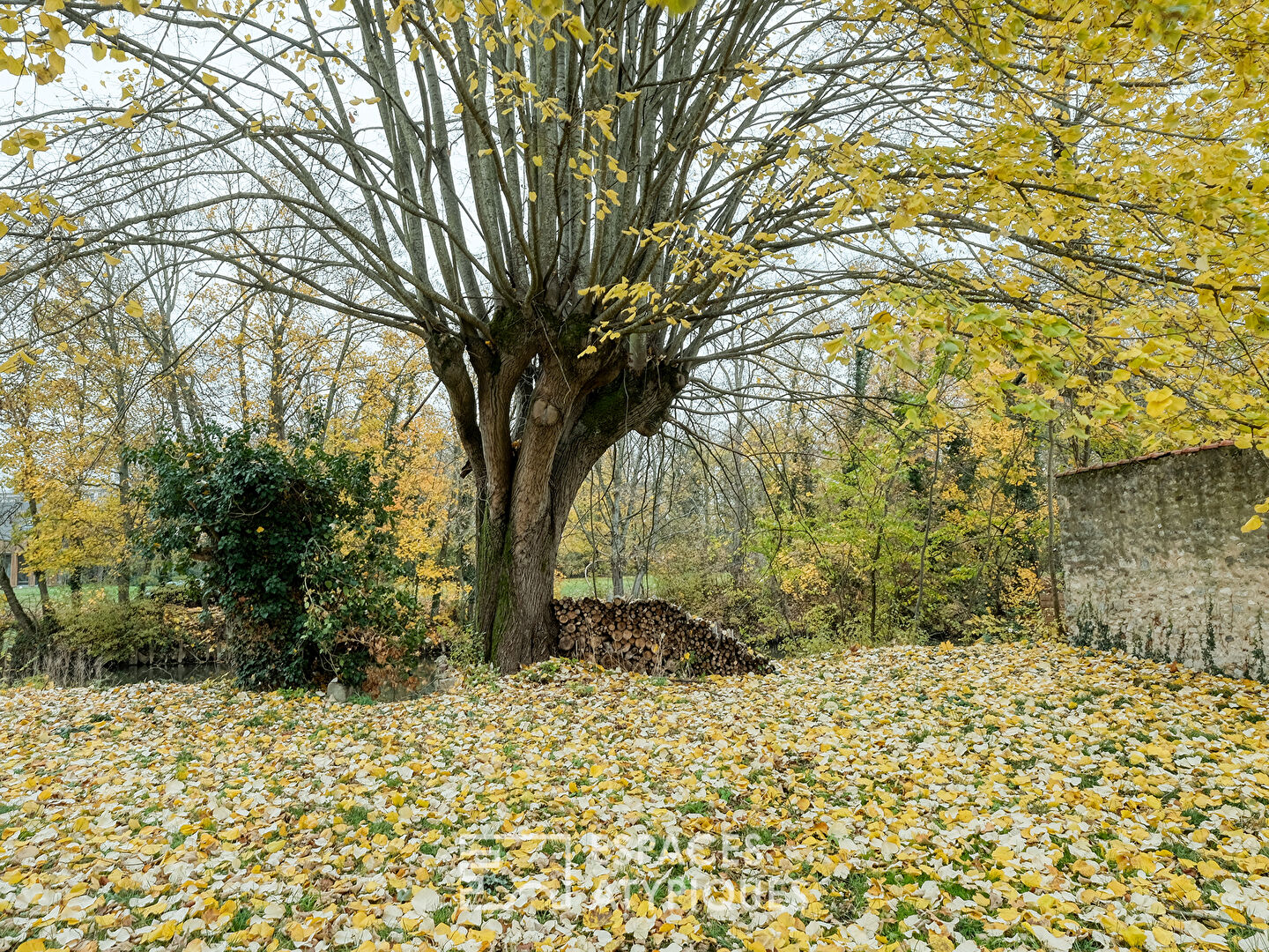 Appartement avec grand jardin au bord du Loing