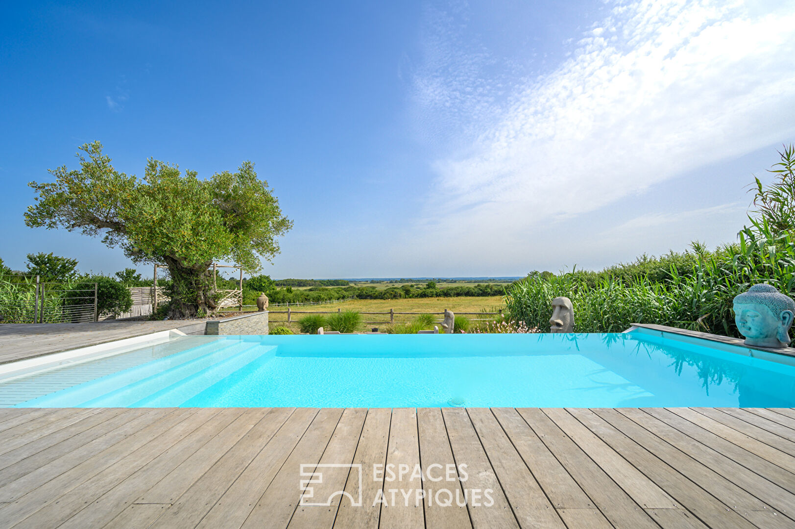 Atypical contemporary with swimming pool and view of the nature reserve
