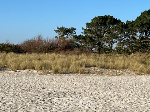 Fouesnant – Beg Meil , Proximité des plages