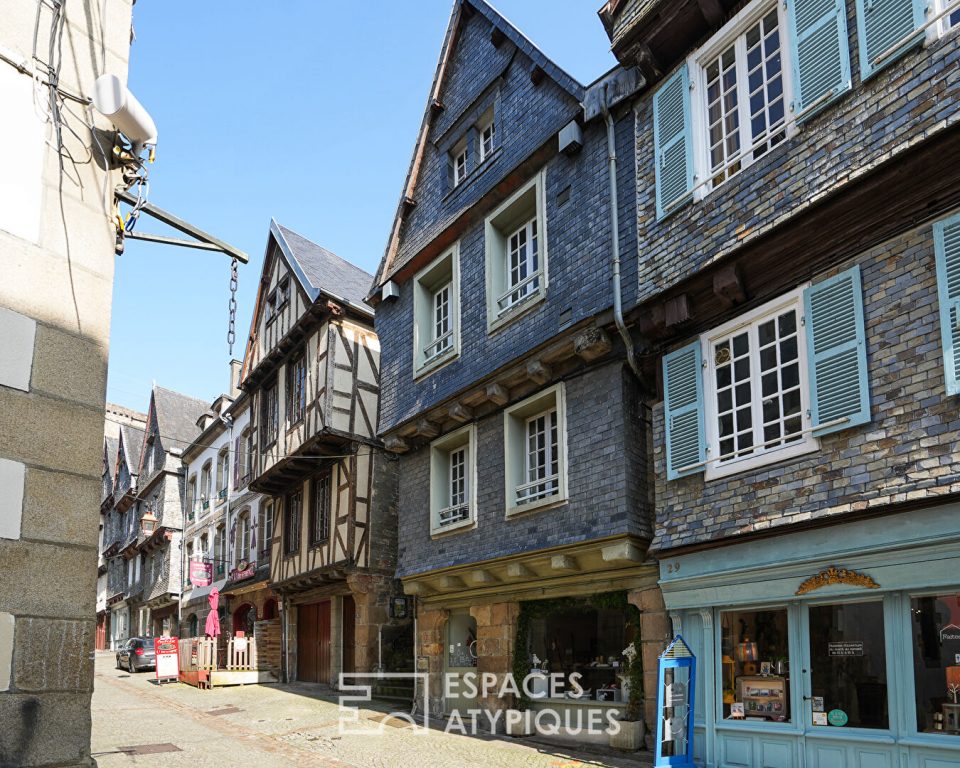 Maison à Pans de Bois - Triplex Familial avec local commercial et Studios