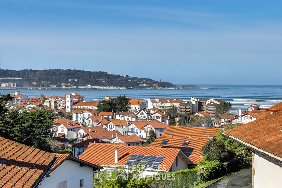 Appartement vue océan et montagnes