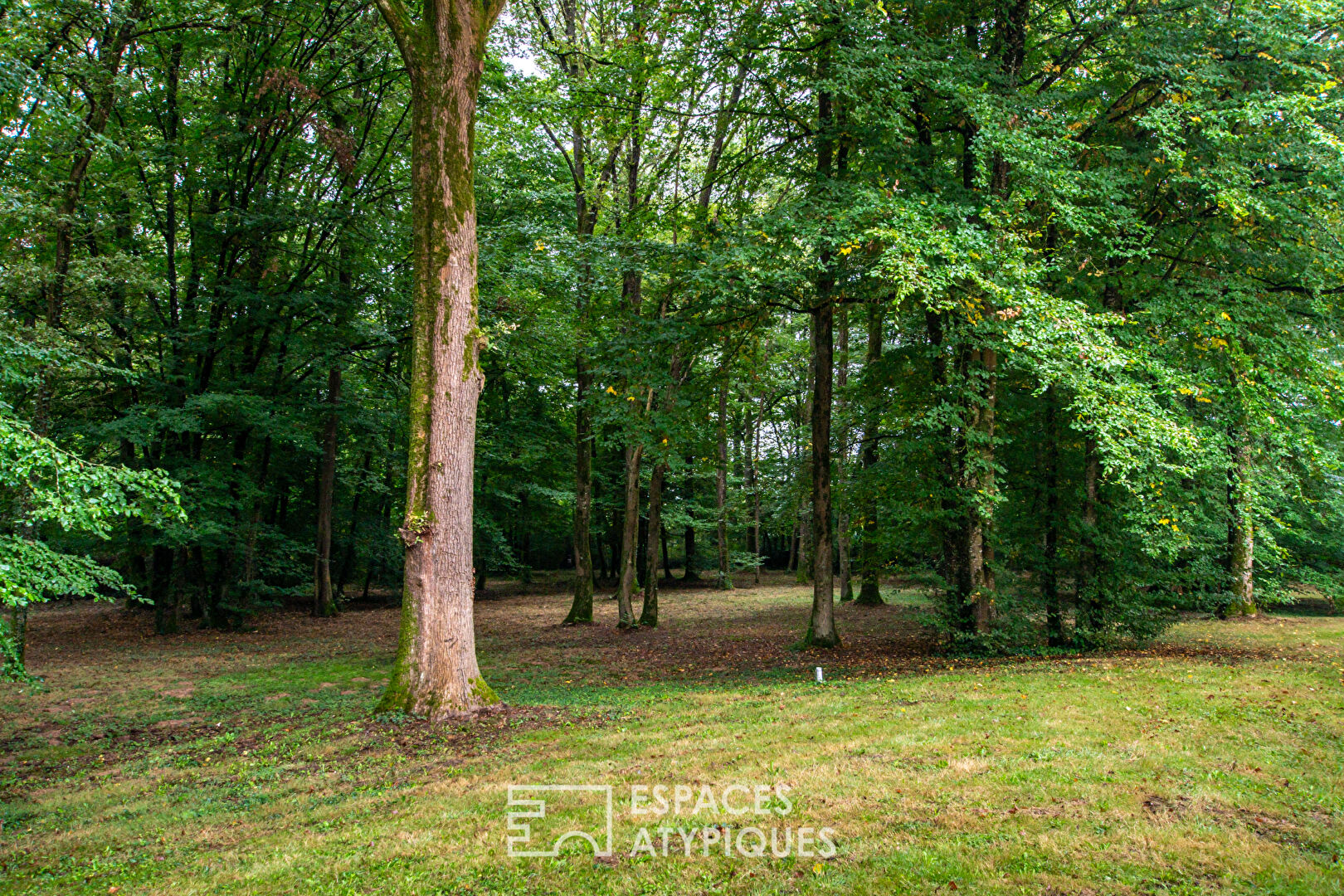 Charmante propriété dans la Forêt