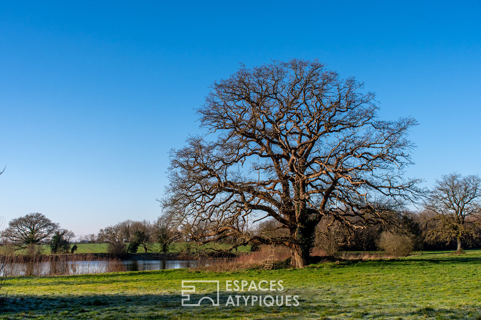 Exceptional estate, witness to Vendée heritage