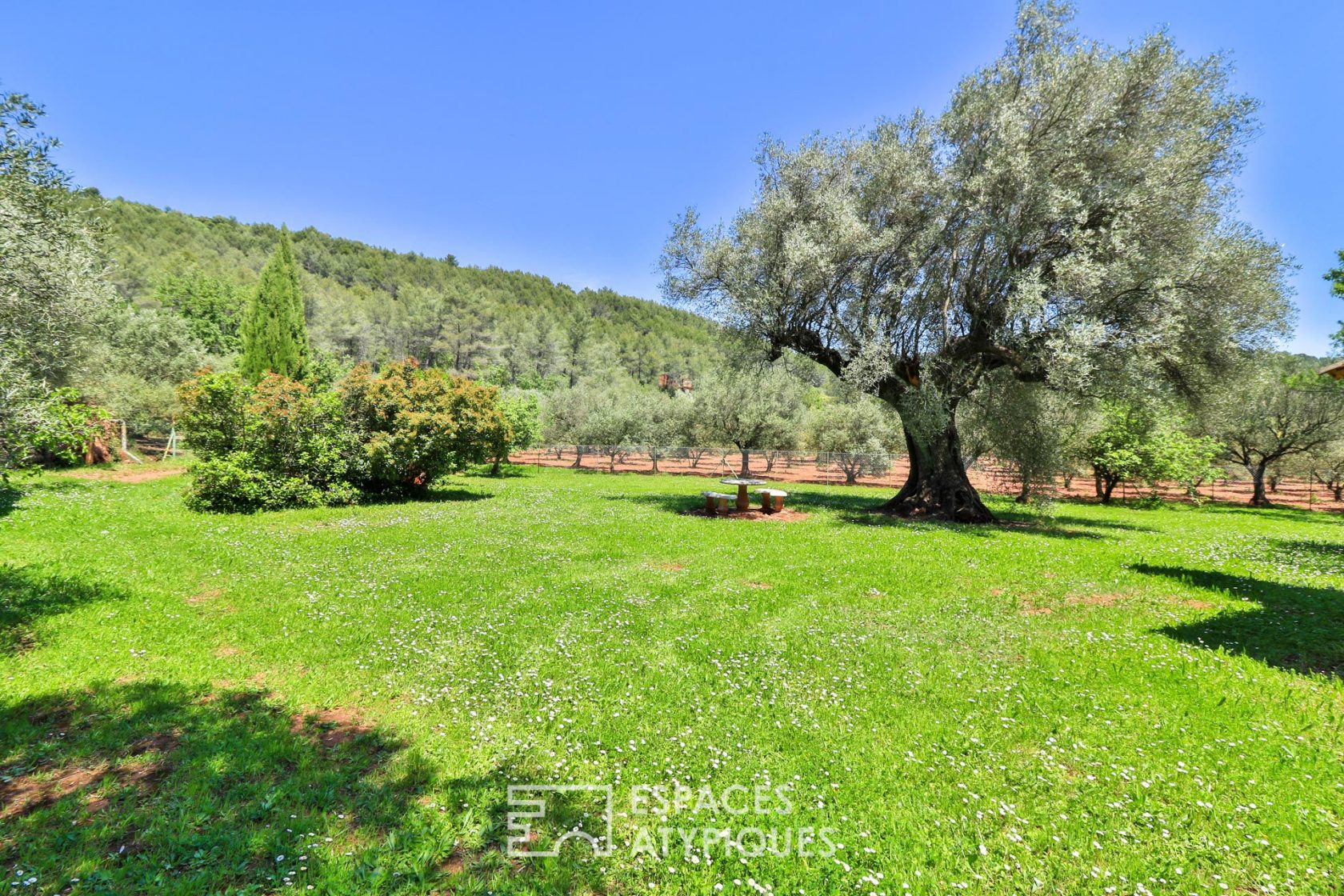 Belle bastide sur une magnifique oliveraie de 18 000 m2