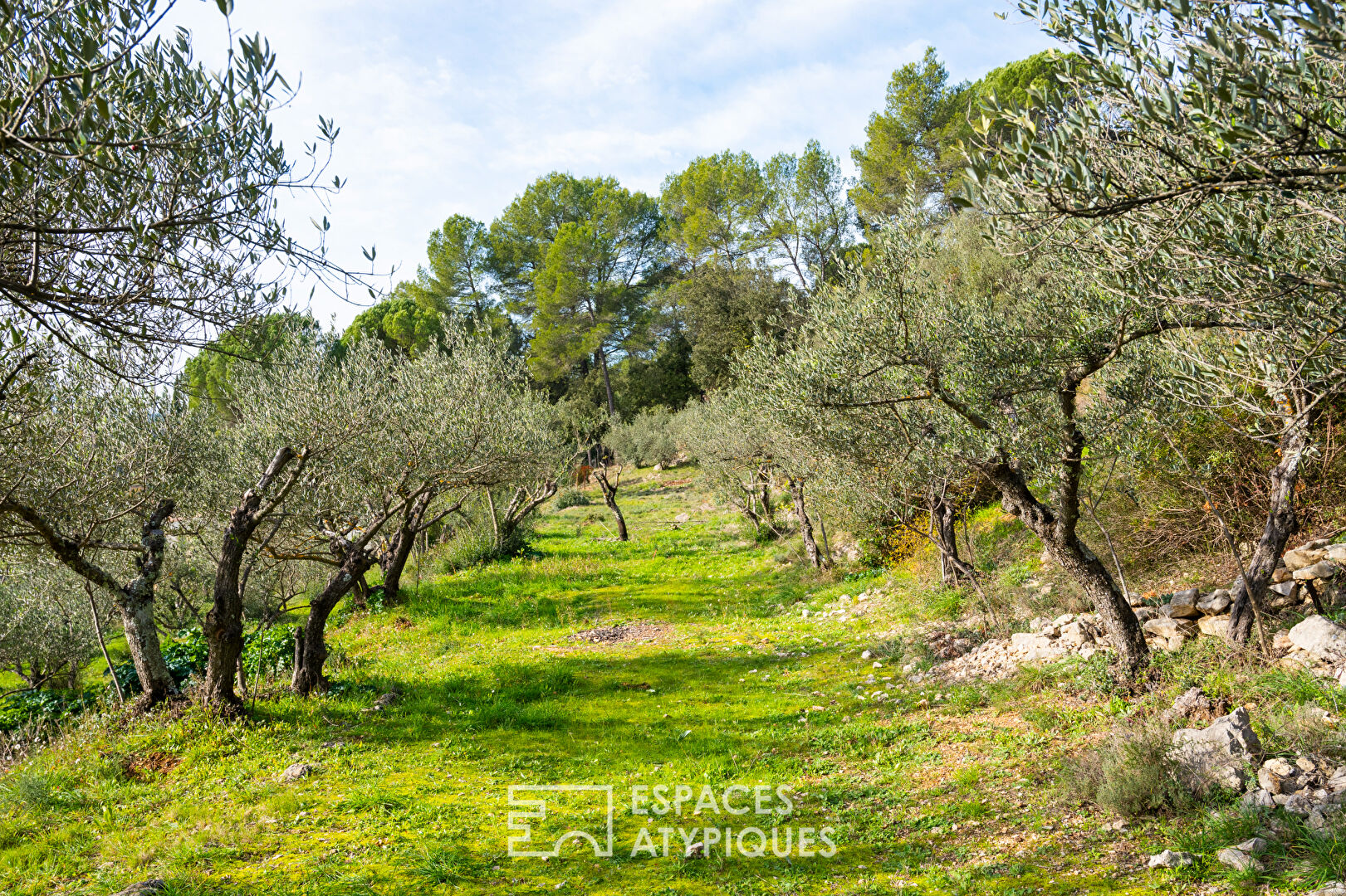 Architect’s house with swimming pool and olive grove between Cotignac and Brignoles