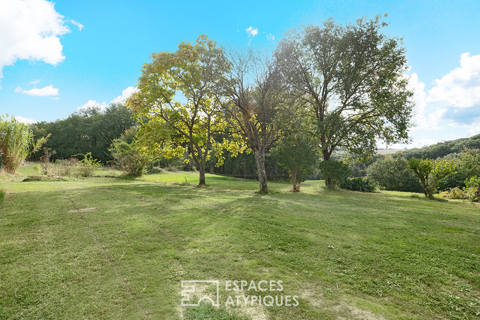 Renovated country house with swimming pool and wooded park